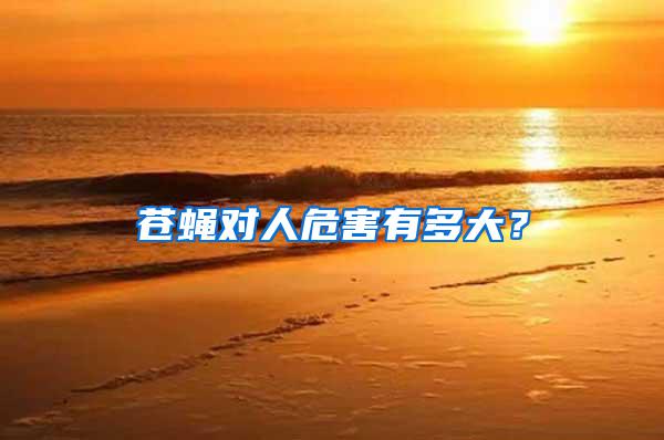 蒼蠅對人危害有多大?
