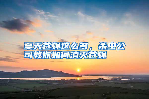 夏天蒼蠅這么多,殺蟲公司教你如何消滅蒼蠅