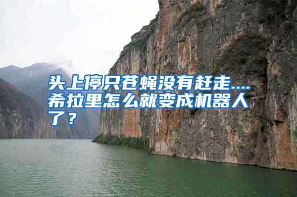 頭上停只蒼蠅沒有趕走....希拉里怎么就變成機器人了?