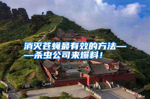 消滅蒼蠅最有效的方法——殺蟲公司來爆料！