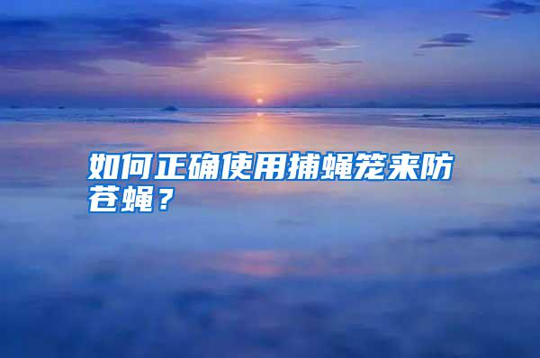 如何正確使用捕蠅籠來防蒼蠅？
