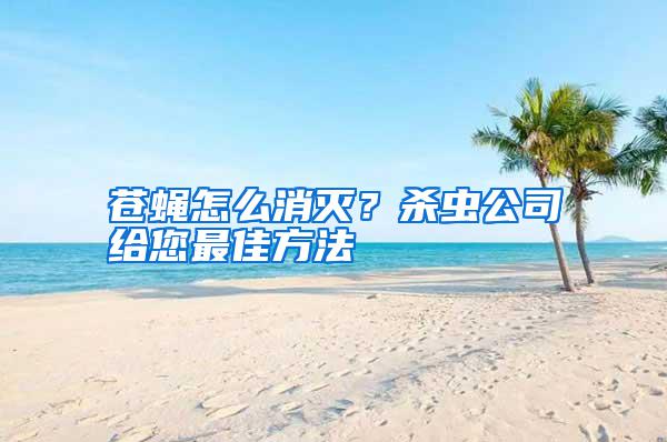 蒼蠅怎么消滅?殺蟲公司給您最佳方法