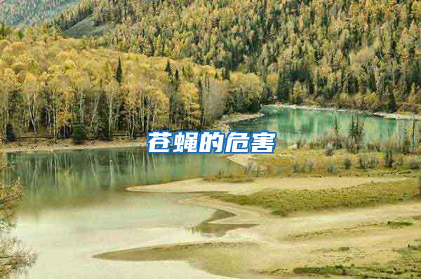 蒼蠅的危害