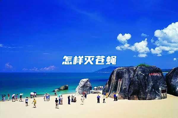 怎樣滅蒼蠅