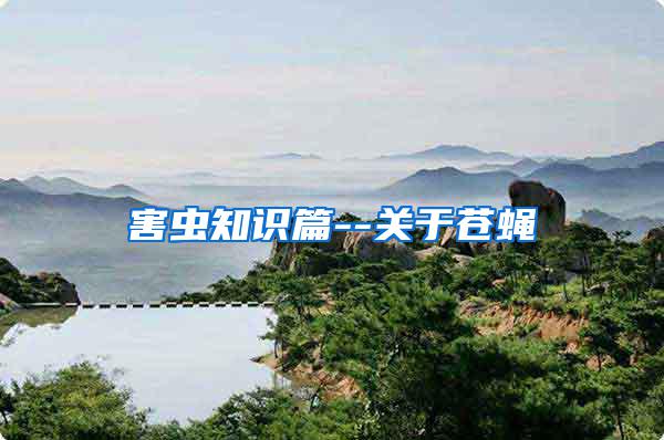 害蟲知識篇--關(guān)于蒼蠅