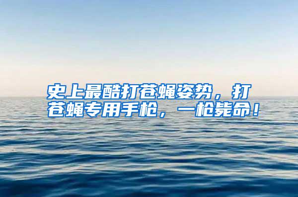 史上最酷打蒼蠅姿勢,打蒼蠅專用手槍,一槍斃命!