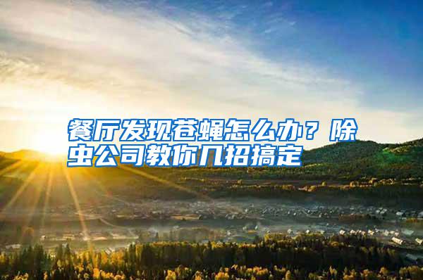 餐廳發(fā)現(xiàn)蒼蠅怎么辦?除蟲公司教你幾招搞定