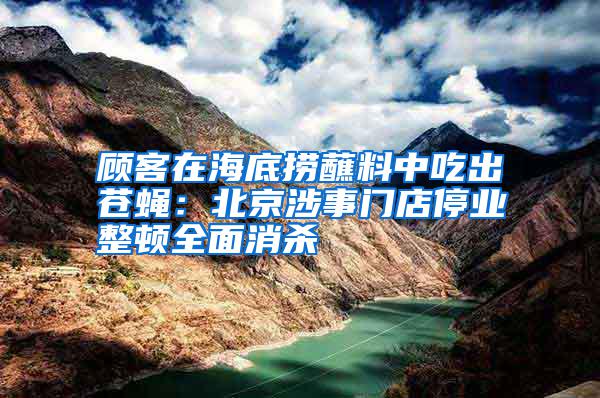 顧客在海底撈蘸料中吃出蒼蠅:北京涉事門店停業整頓全面消殺