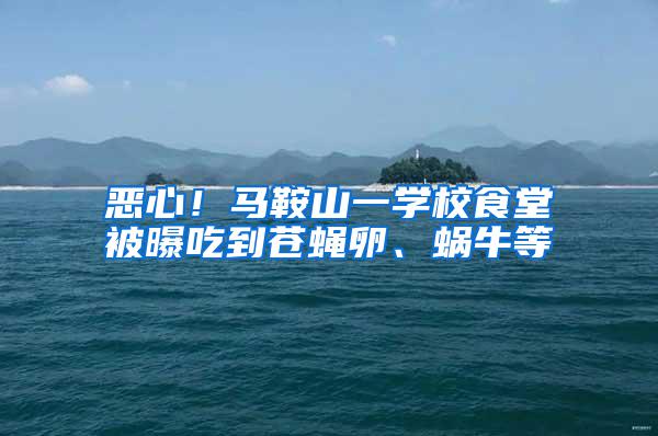 惡心!馬鞍山一學校食堂被曝吃到蒼蠅卵、蝸牛等