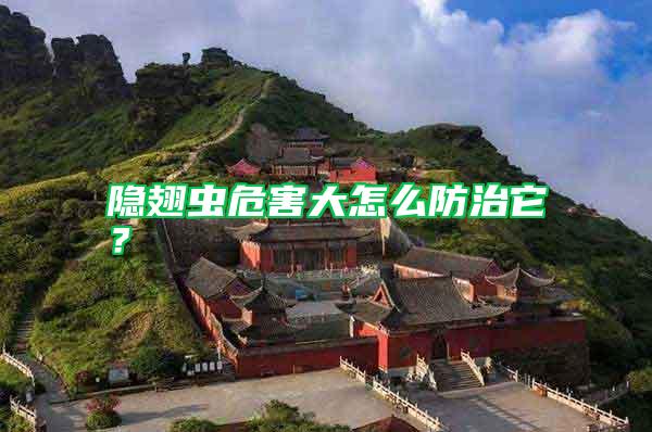隱翅蟲危害大怎么防治它?