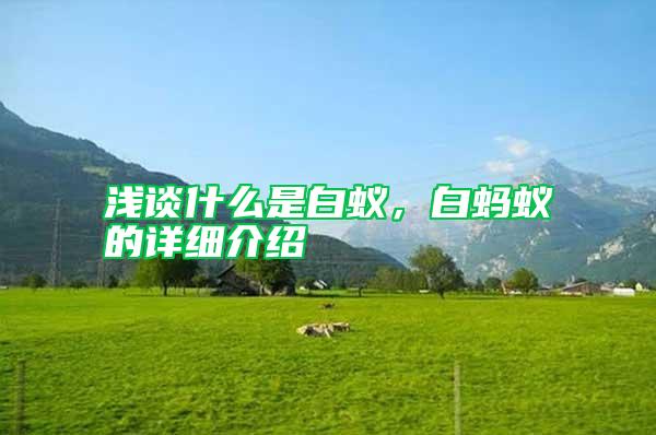 淺談什么是白蟻，白螞蟻的詳細介紹