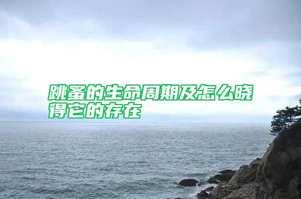 跳蚤的生命周期及怎么曉得它的存在
