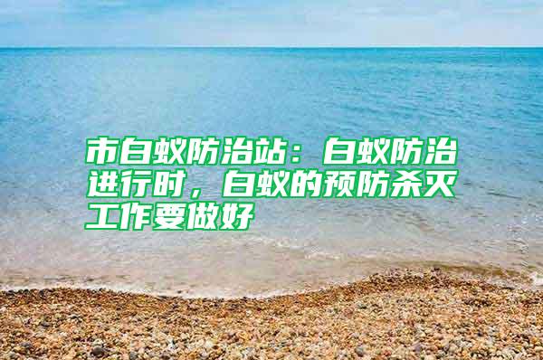 市白蟻防治站：白蟻防治進行時，白蟻的預防殺滅工作要做好