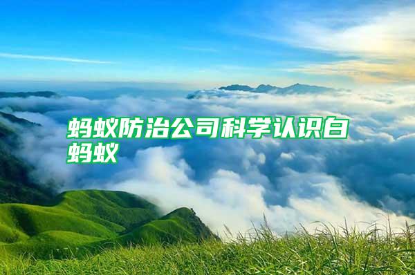 螞蟻防治公司科學(xué)認(rèn)識白螞蟻