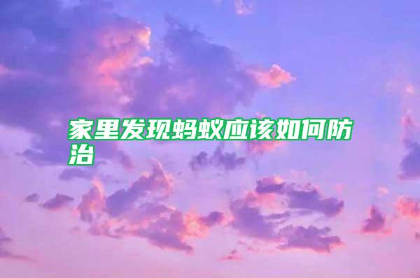 家里發現螞蟻應該如何防治