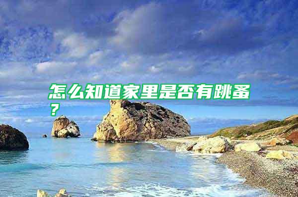 怎么知道家里是否有跳蚤?