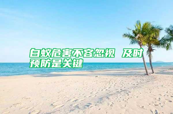白蟻危害不容忽視 及時預防是關鍵