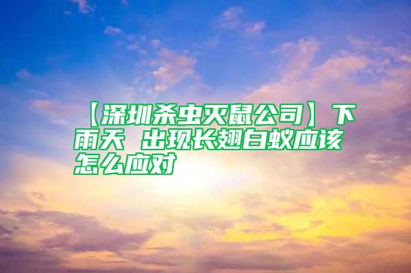 【深圳殺蟲滅鼠公司】下雨天 出現(xiàn)長翅白蟻應(yīng)該怎么應(yīng)對(duì)