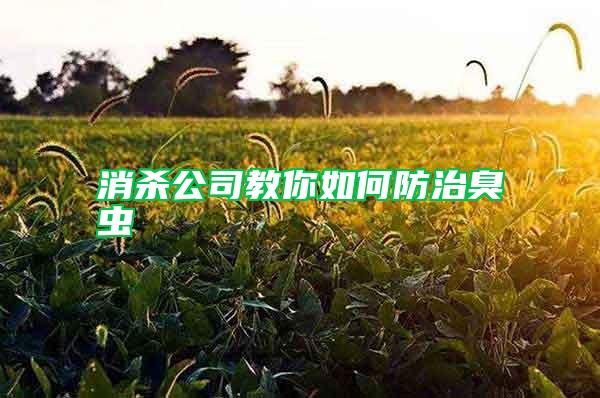 消殺公司教你如何防治臭蟲