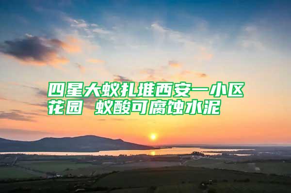 四星大蟻扎堆西安一小區花園 蟻酸可腐蝕水泥
