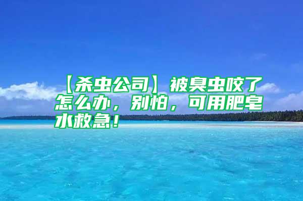 【殺蟲公司】被臭蟲咬了怎么辦，別怕，可用肥皂水救急！