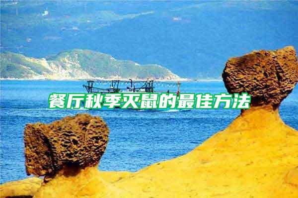 餐廳秋季滅鼠的最佳方法