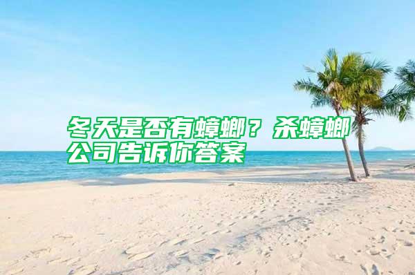 冬天是否有蟑螂?殺蟑螂公司告訴你答案