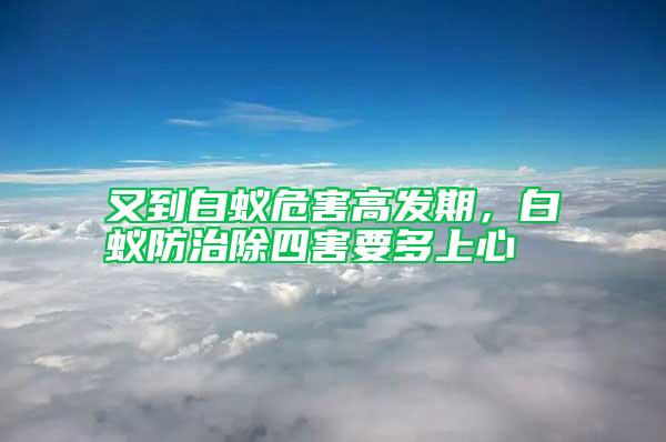 又到白蟻危害高發期,白蟻防治除四害要多上心