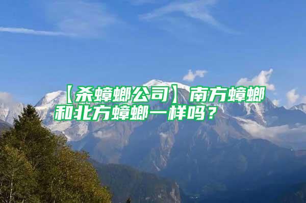 【殺蟑螂公司】南方蟑螂和北方蟑螂一樣嗎？