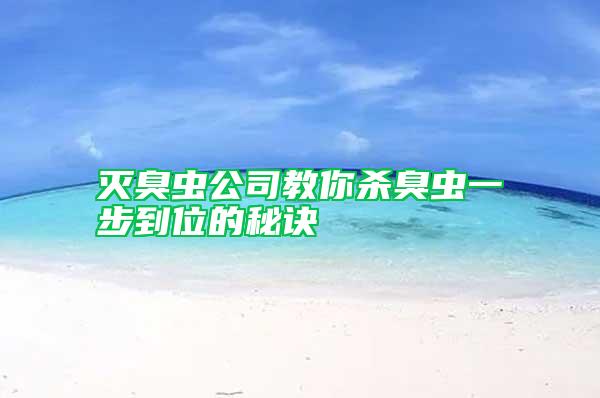 滅臭蟲公司教你殺臭蟲一步到位的秘訣