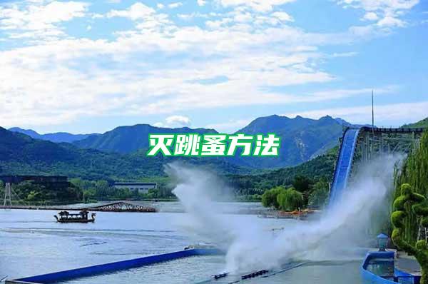 滅跳蚤方法