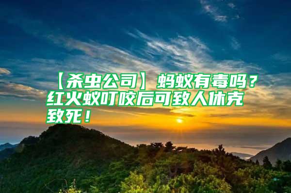 【殺蟲公司】螞蟻有毒嗎？紅火蟻叮咬后可致人休克致死！