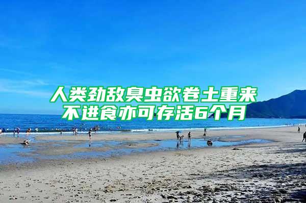 人類勁敵臭蟲(chóng)欲卷土重來(lái) 不進(jìn)食亦可存活6個(gè)月