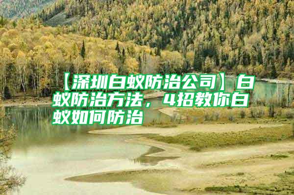 【深圳白蟻防治公司】白蟻防治方法，4招教你白蟻如何防治