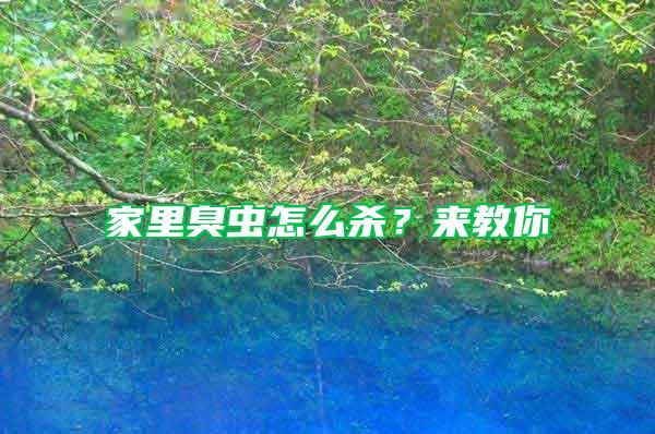 家里臭蟲怎么殺？來教你