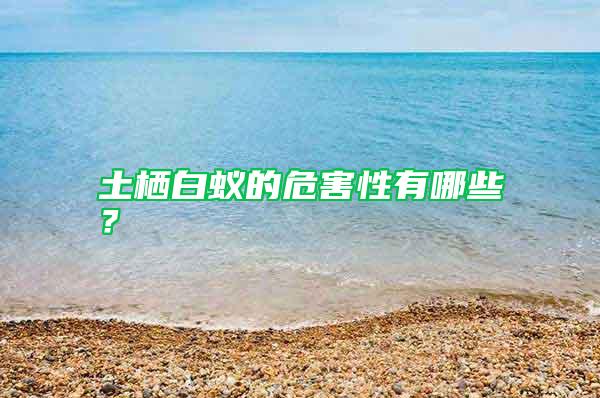 土棲白蟻的危害性有哪些?