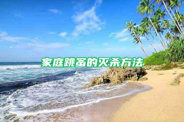 家庭跳蚤的滅殺方法