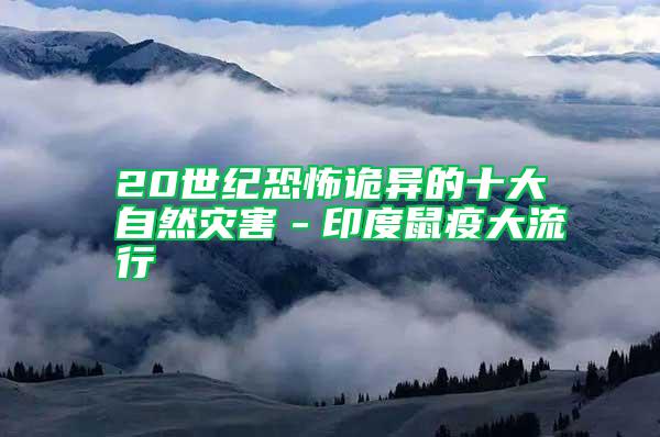20世紀恐怖詭異的十大自然災(zāi)害－印度鼠疫大流行