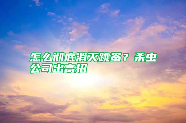 怎么徹底消滅跳蚤？殺蟲公司出高招