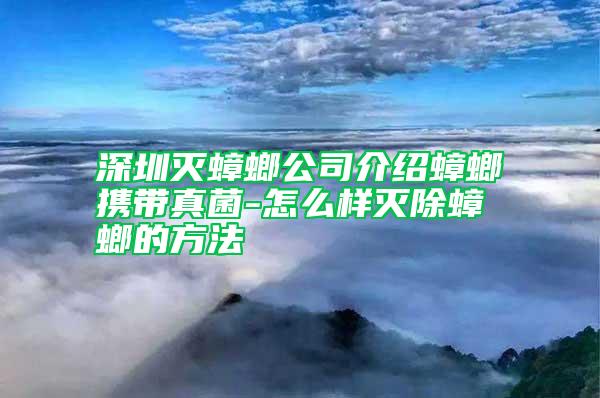深圳滅蟑螂公司介紹蟑螂攜帶真菌-怎么樣滅除蟑螂的方法