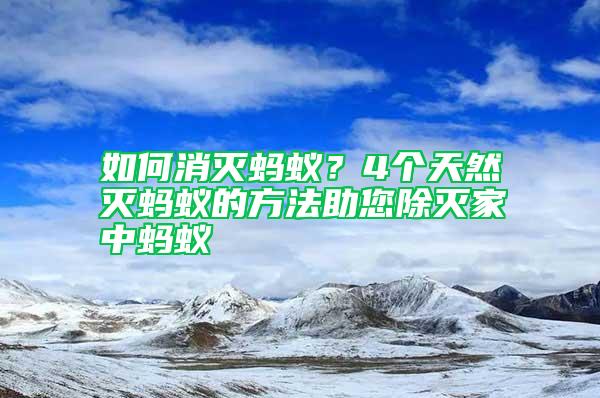 如何消滅螞蟻？4個天然滅螞蟻的方法助您除滅家中螞蟻