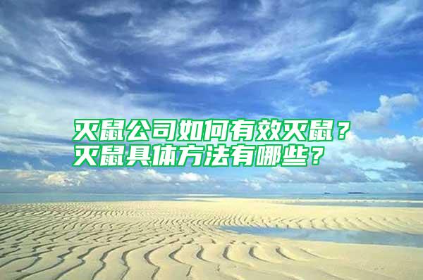 滅鼠公司如何有效滅鼠？滅鼠具體方法有哪些？