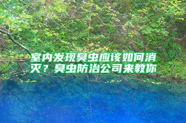 室內發現臭蟲應該如何消滅？臭蟲防治公司來教你