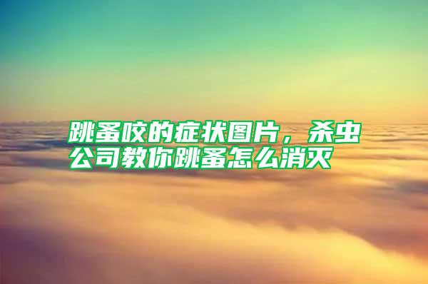 跳蚤咬的癥狀圖片，殺蟲公司教你跳蚤怎么消滅