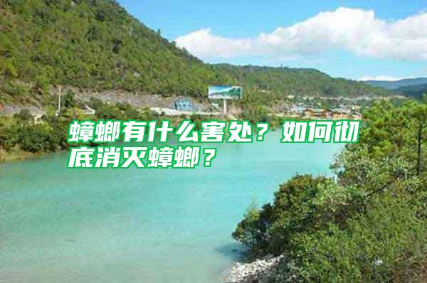 蟑螂有什么害處？如何徹底消滅蟑螂？
