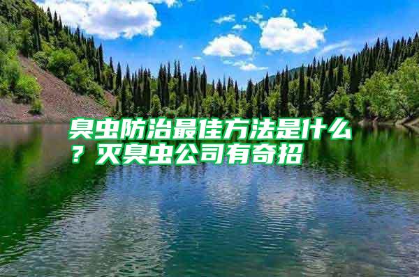 臭蟲防治最佳方法是什么？滅臭蟲公司有奇招