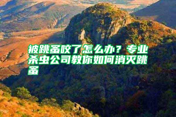 被跳蚤咬了怎么辦?專業(yè)殺蟲(chóng)公司教你如何消滅跳蚤