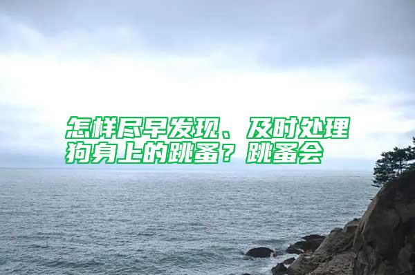 怎樣盡早發現、及時處理狗身上的跳蚤？跳蚤會