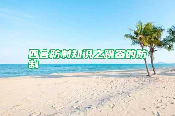 四害防制知識之跳蚤的防制