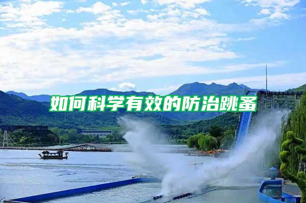 如何科學(xué)有效的防治跳蚤